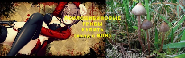 a pvp Осинники